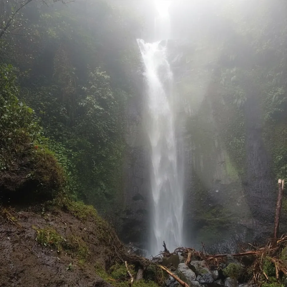 Latar Belakang